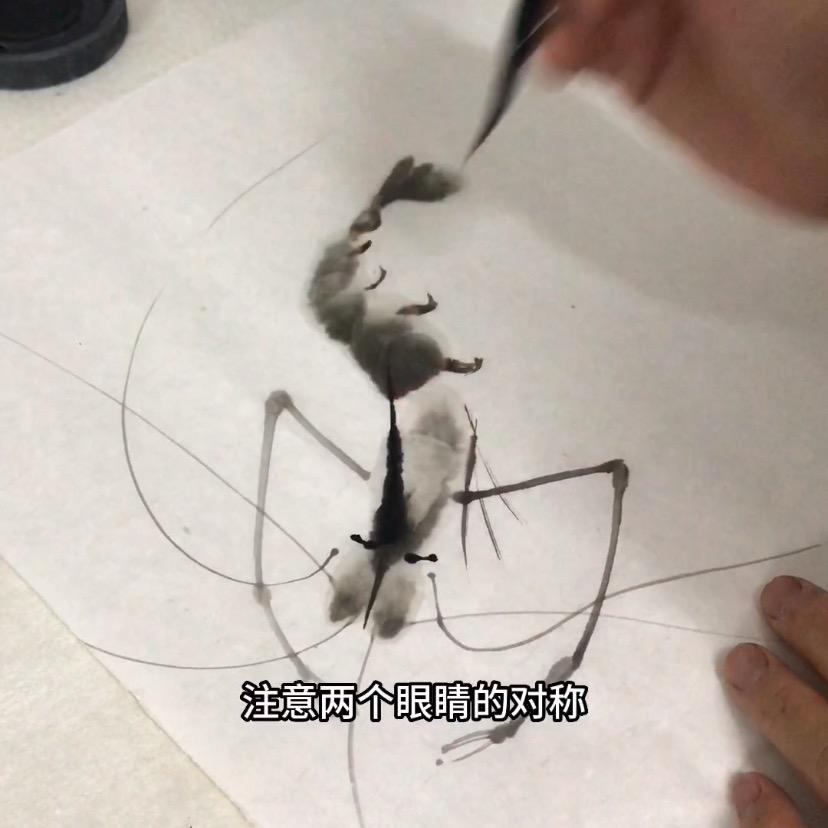 白石虾
