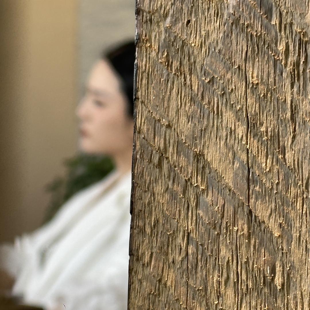 李火火出发若惊鸿