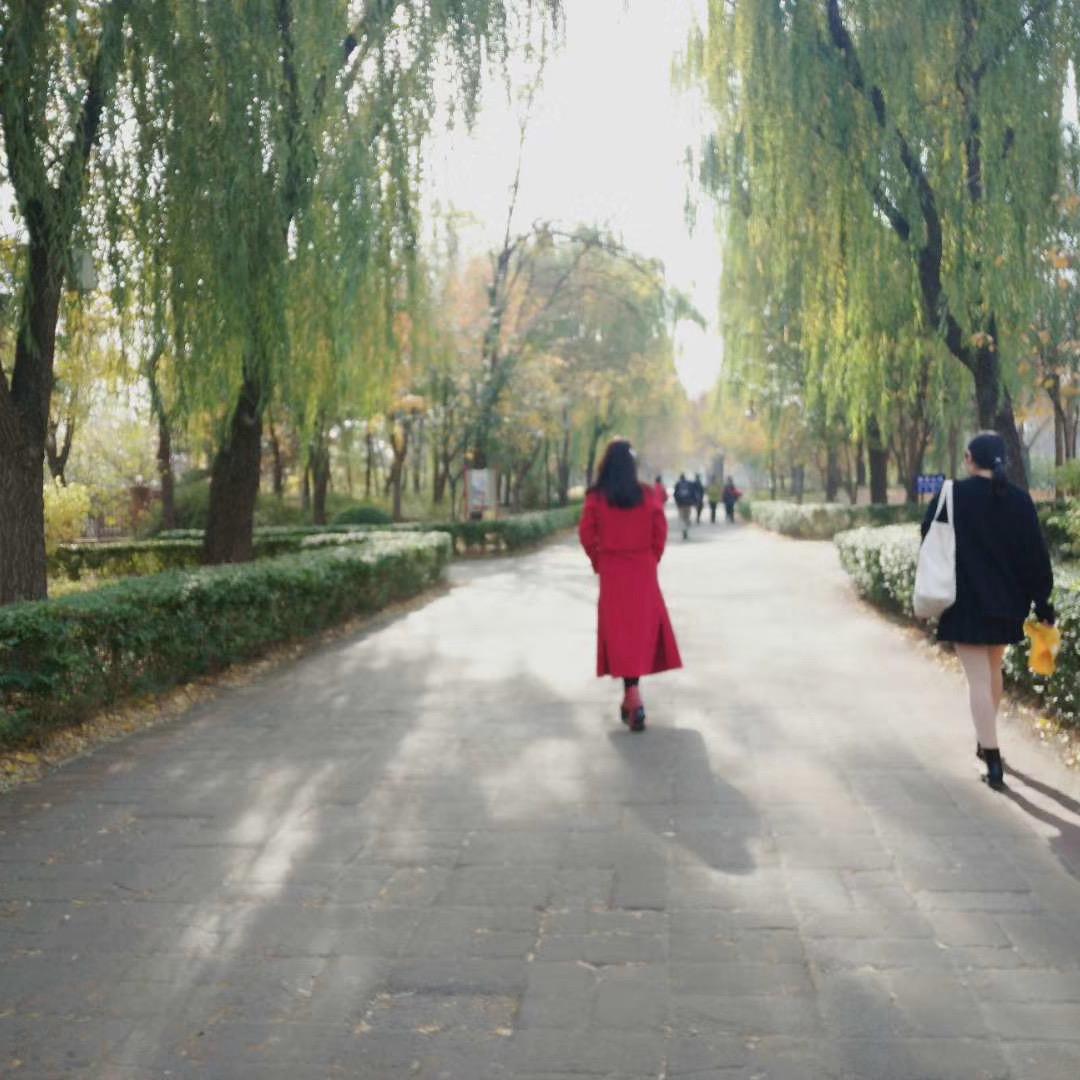 73🐮——红姐❤️