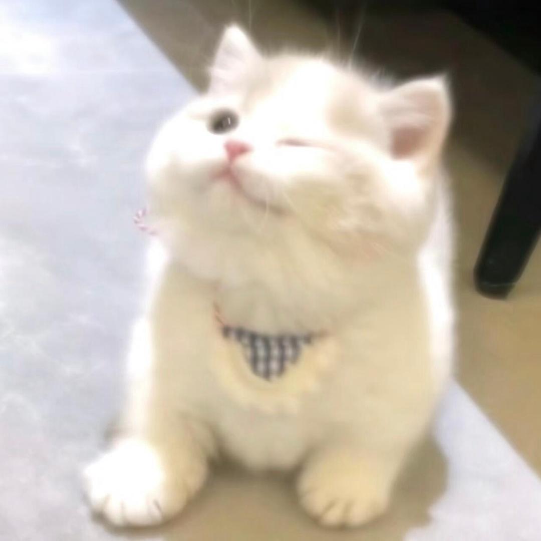 双下巴真的不可爱