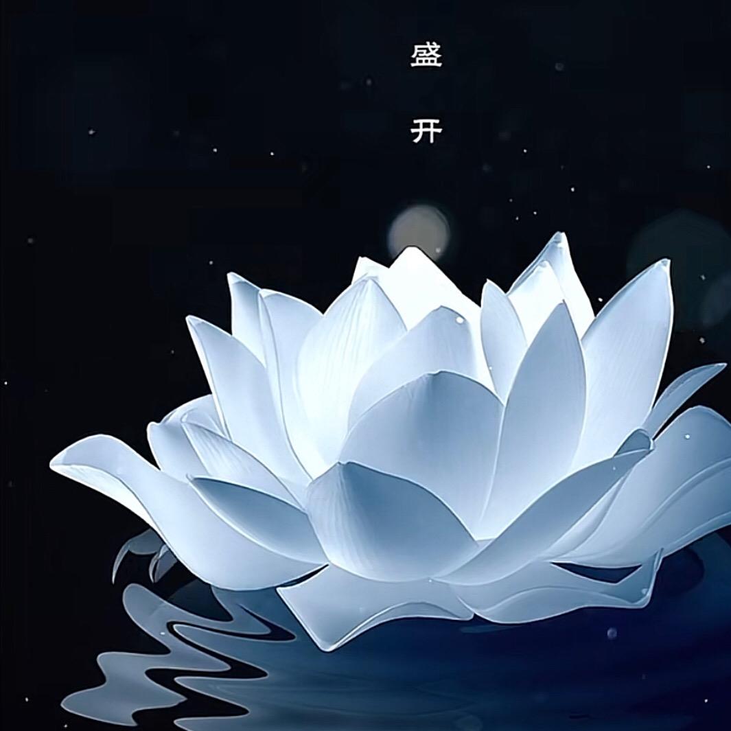 烟雨一生