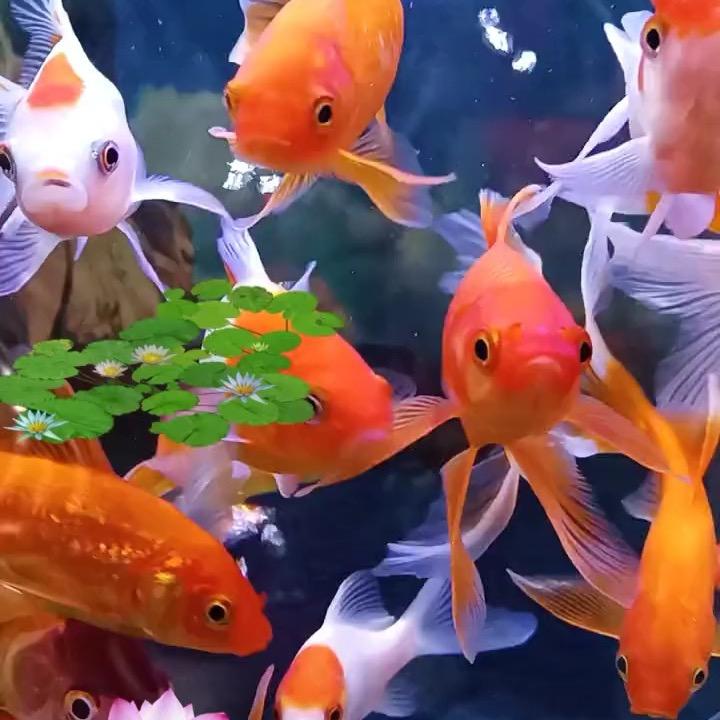 遇到就是缘分