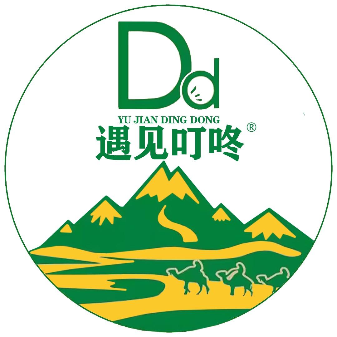叮咚到家食品专营店