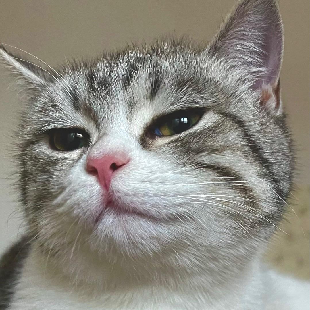 虎咂吃不胖