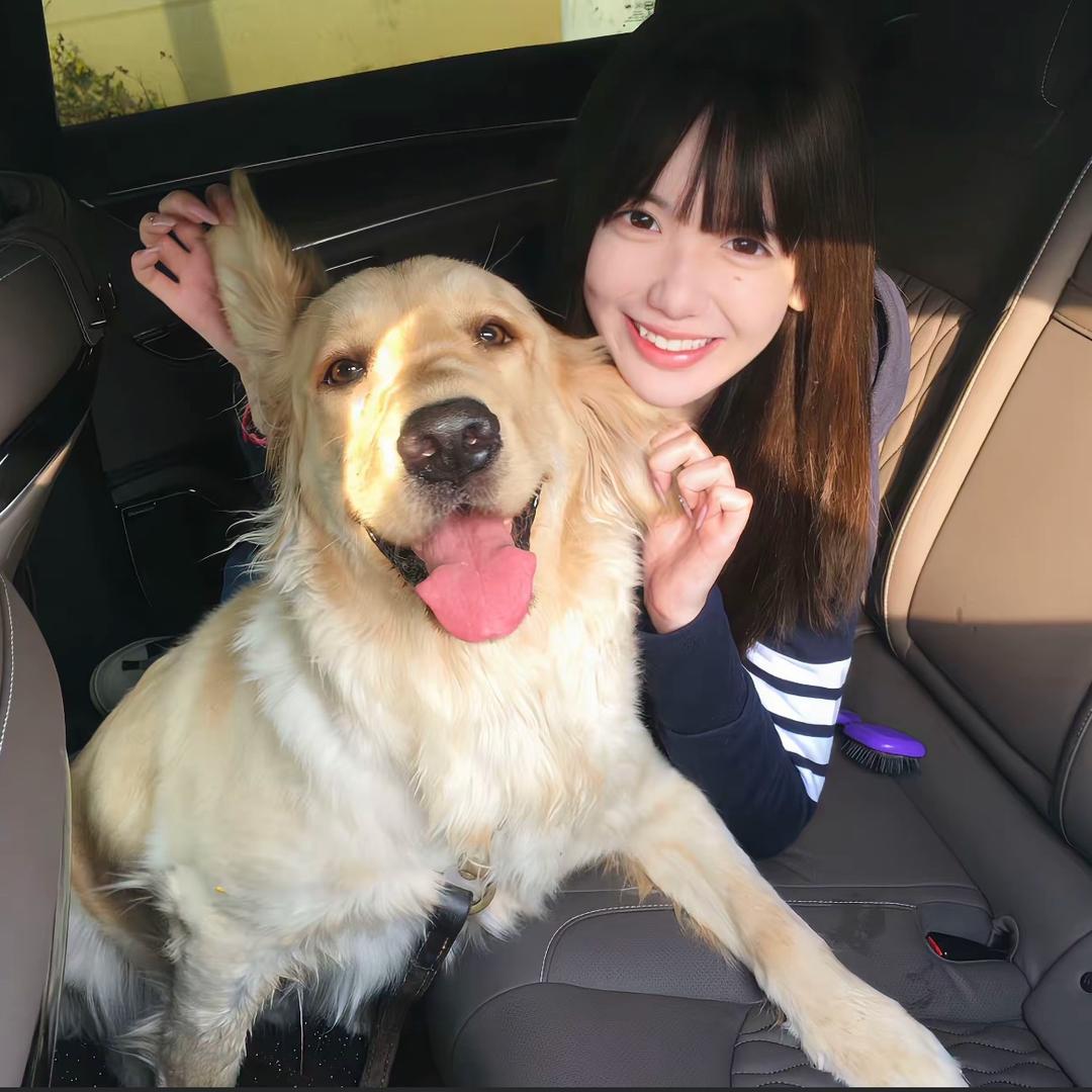 我是一只小猫