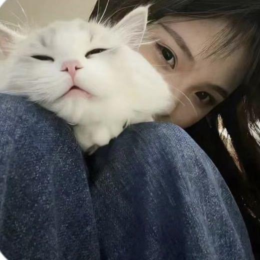 忧伤小熊
