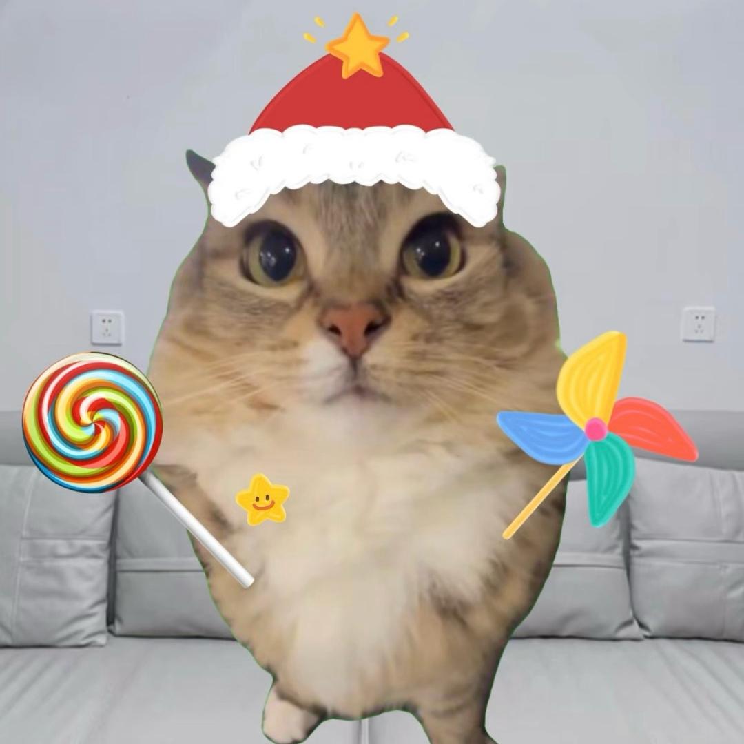 猫咪七