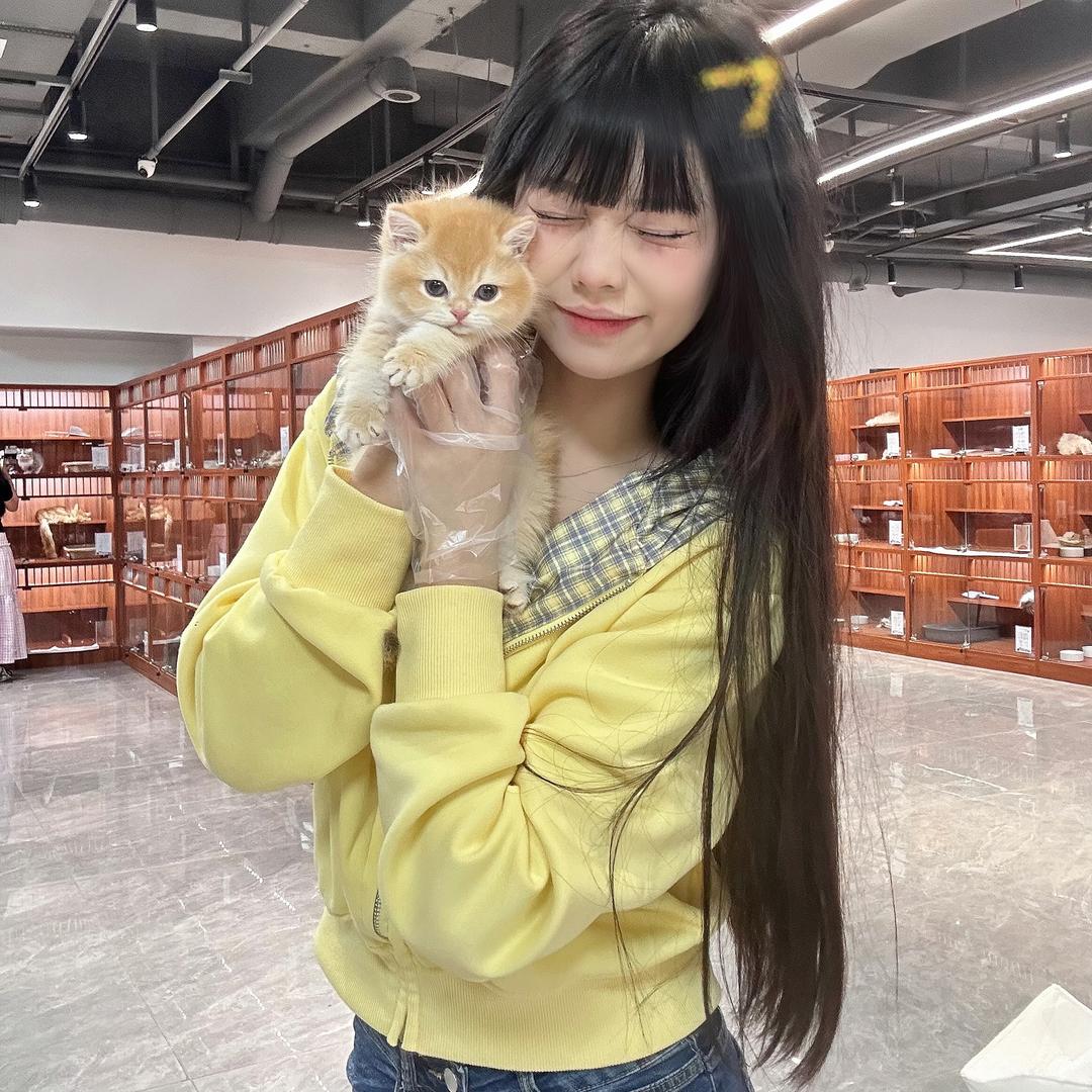 小青(壮实说猫)