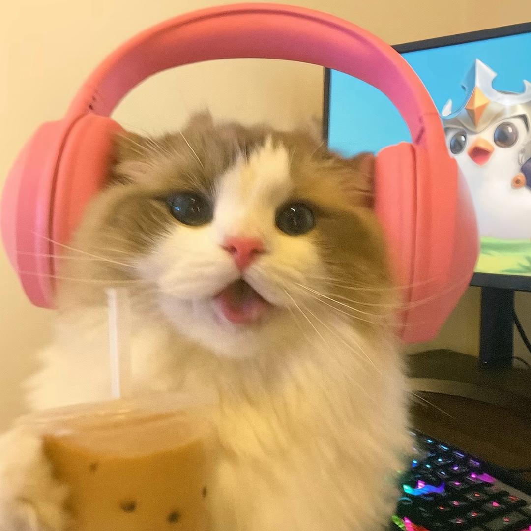 番茄你个西红柿🍅