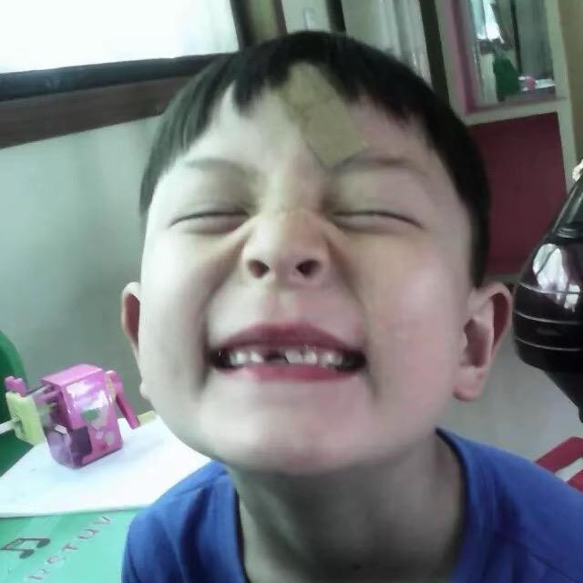 小猫爱吃芝士汉堡