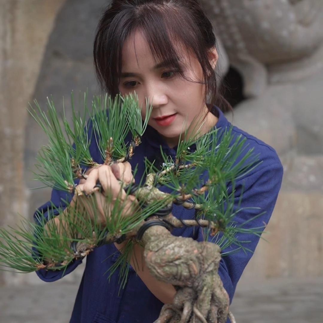 小灵说景