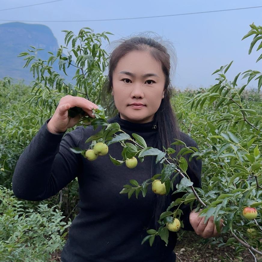 平邑县德天花卉销售中心