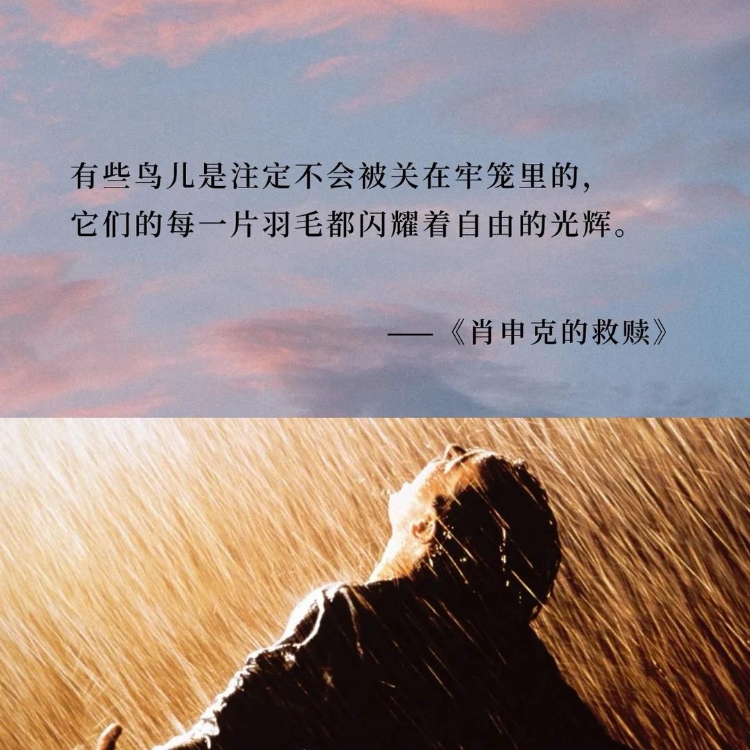 肖申克的救赎（认知觉醒）