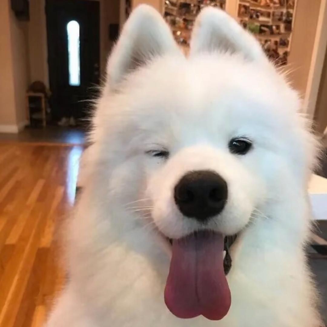 张什嚒宇