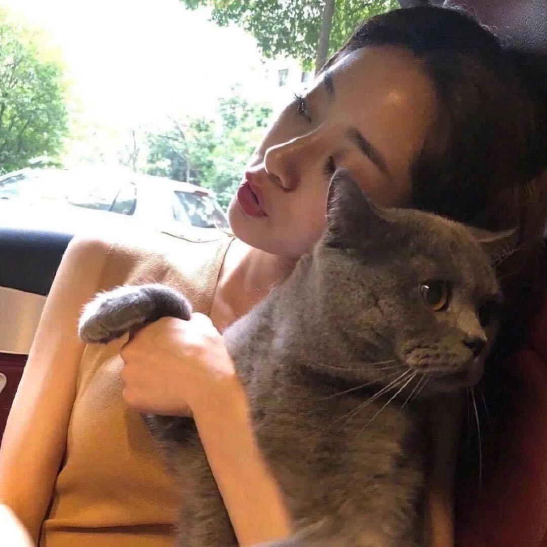 锦鲤鱼.