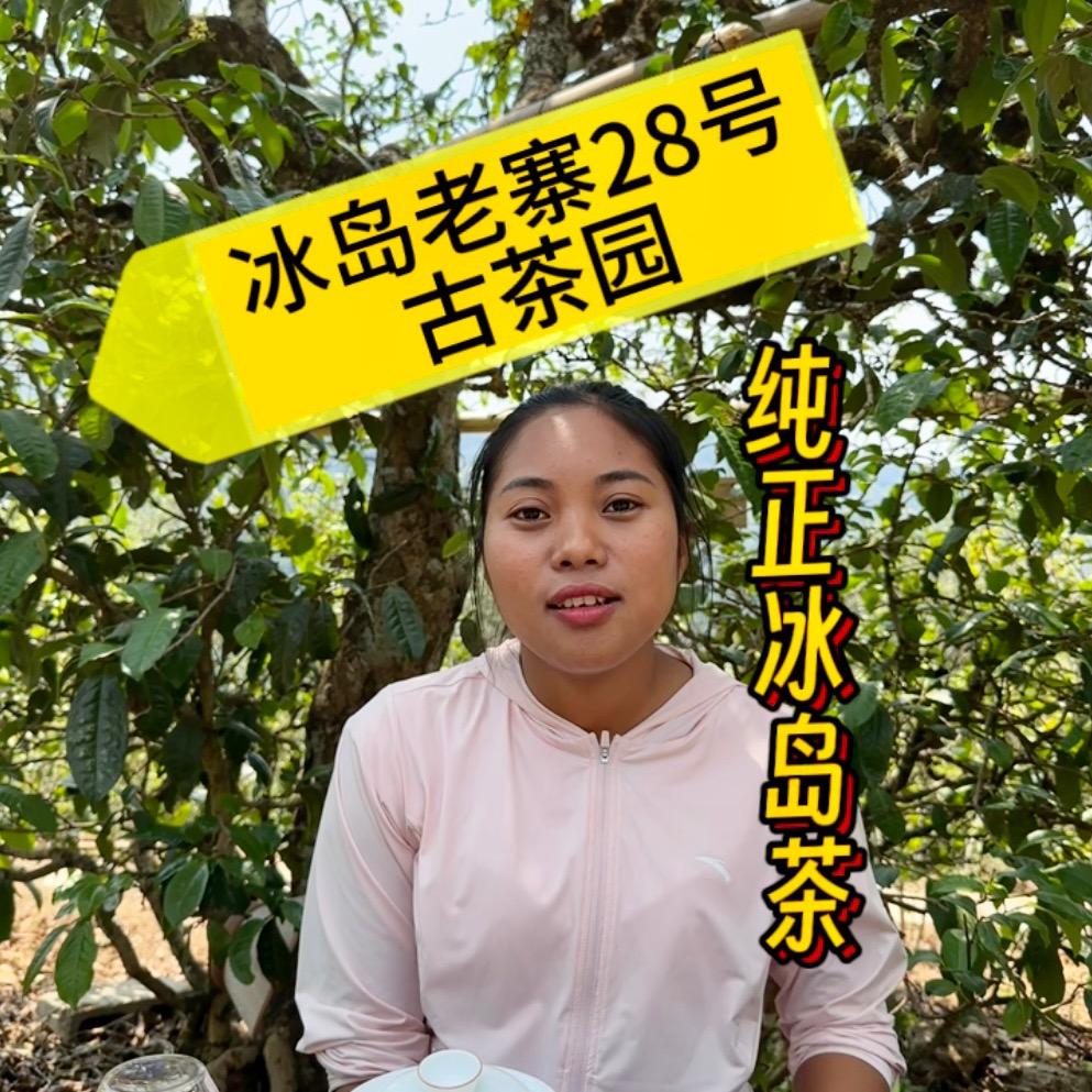 冰岛老寨28号（俸组长）宝哥家