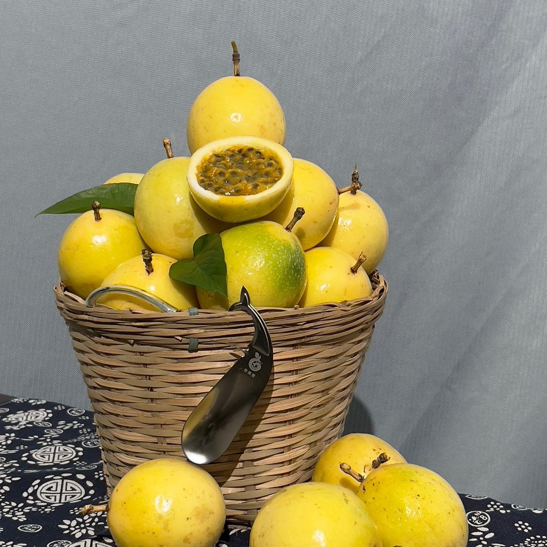 广东华园百香果种植基地