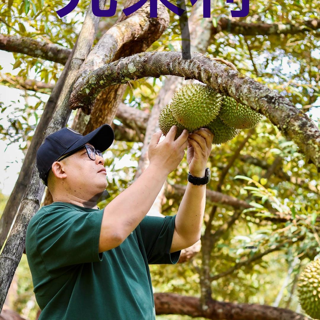 先果利