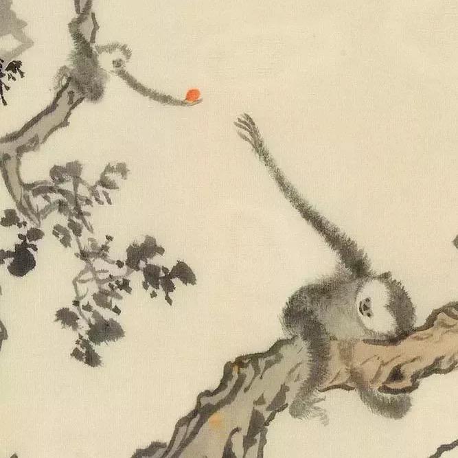 棠棠好物云分享