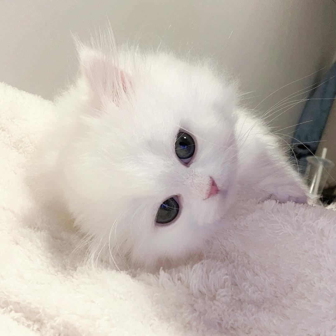 郁闷小苑