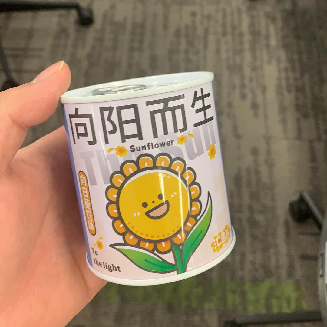 一罐“向阳而生”的盆栽