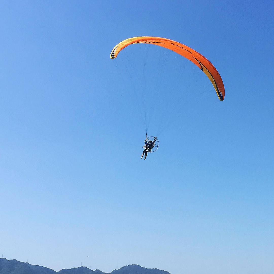 奥斯卡在逃戏精高财生