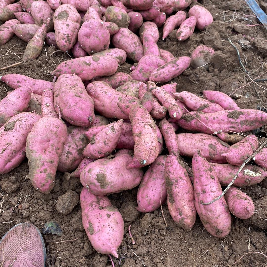 努力奋斗，满满自信