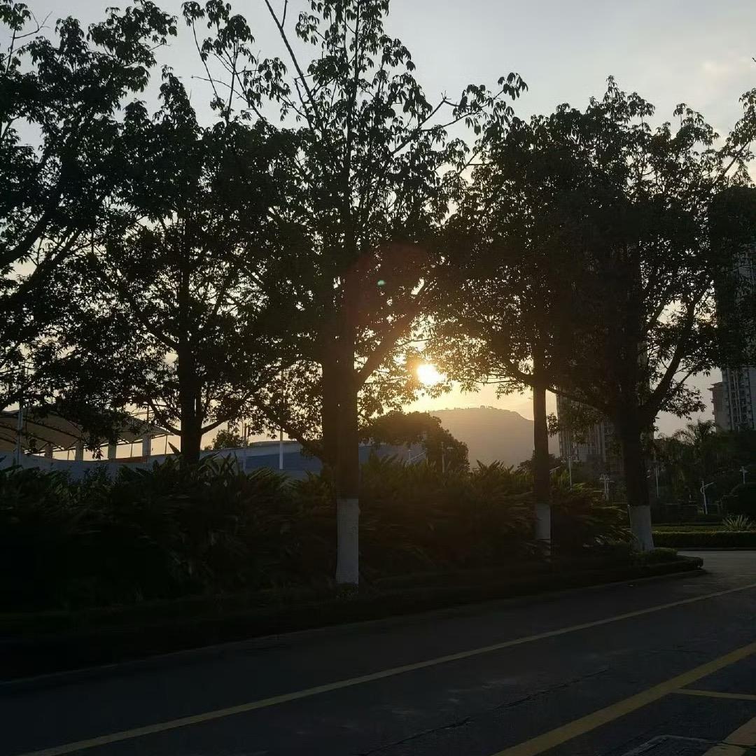 大道成简
