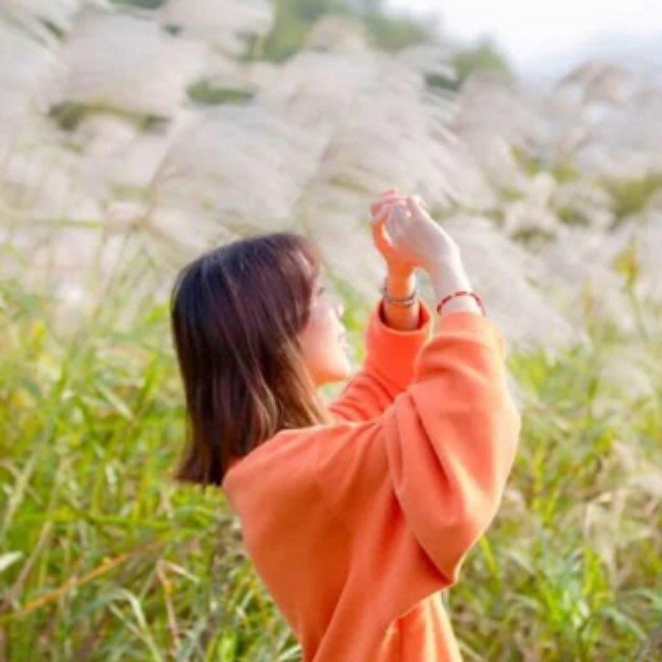 护师主管职称/考编考试指导