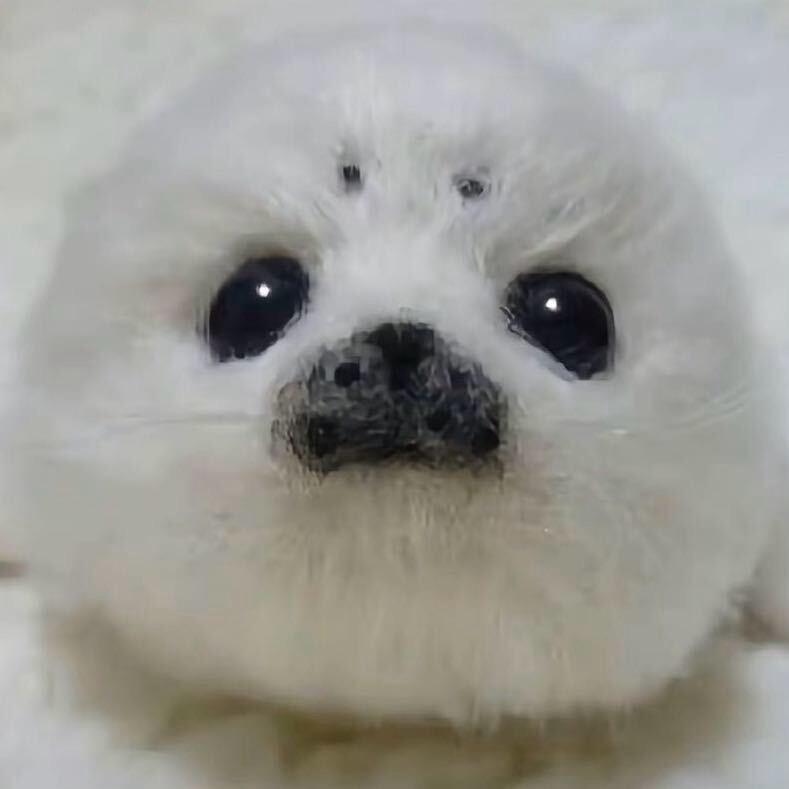 有个女孩让我好想念