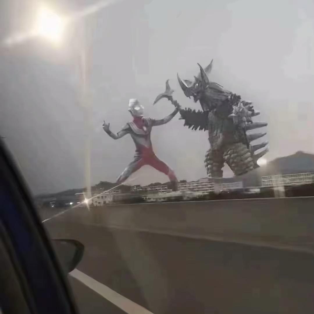 狂野男孩.