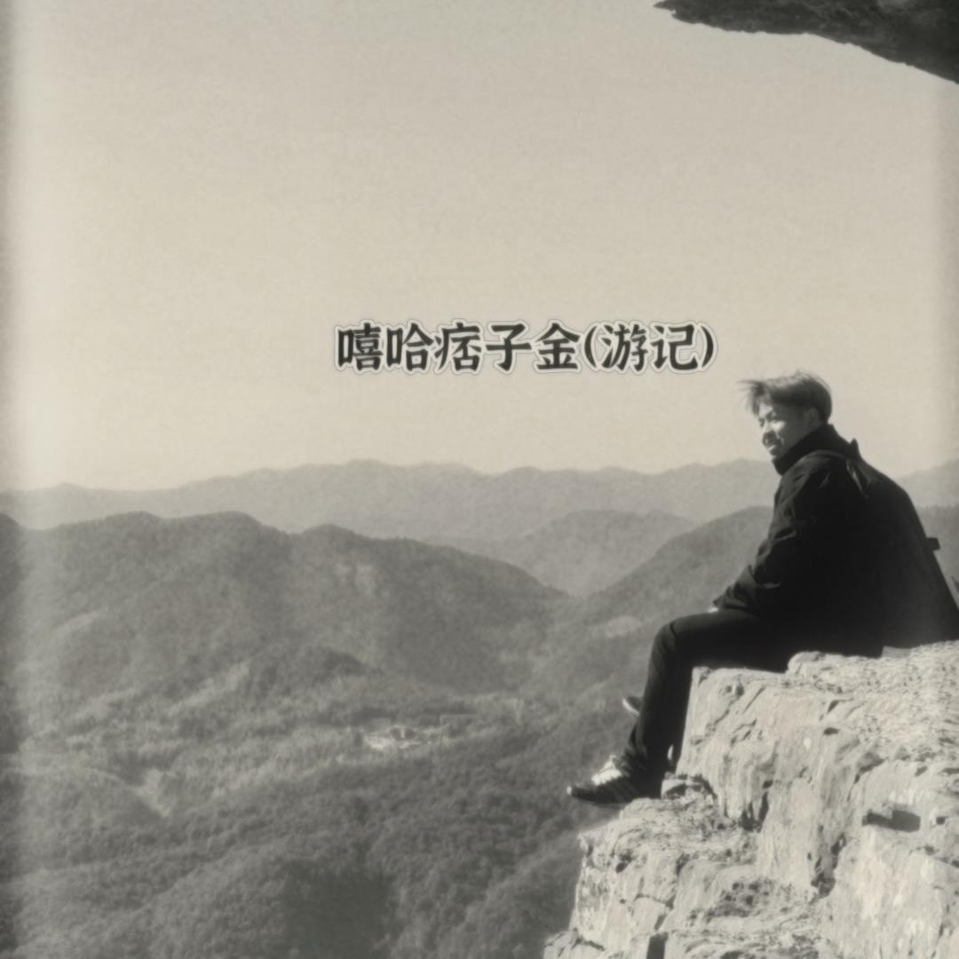 嘻哈痞子金（游记）