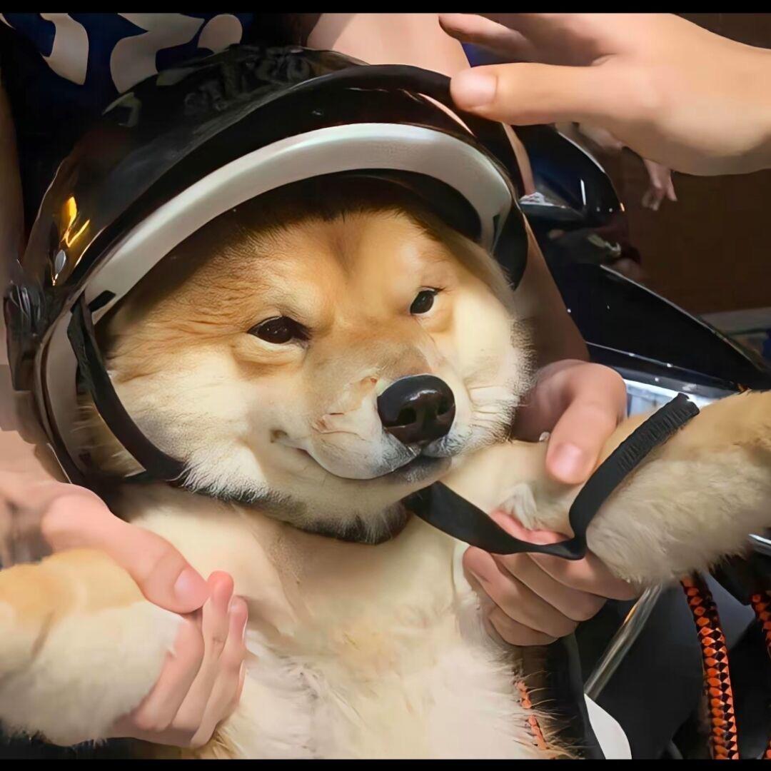 四百冷