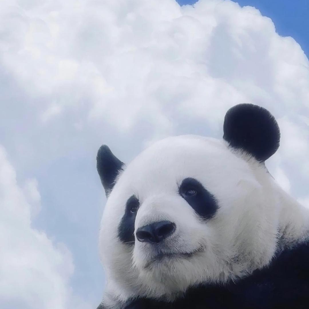 优昵宝贝母婴皖北7号仓批发