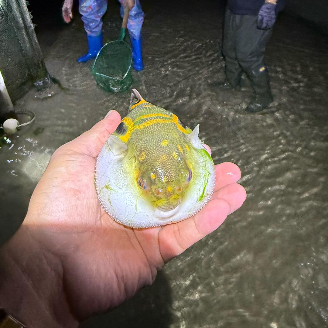 北海小李赶海（有问题私信我）