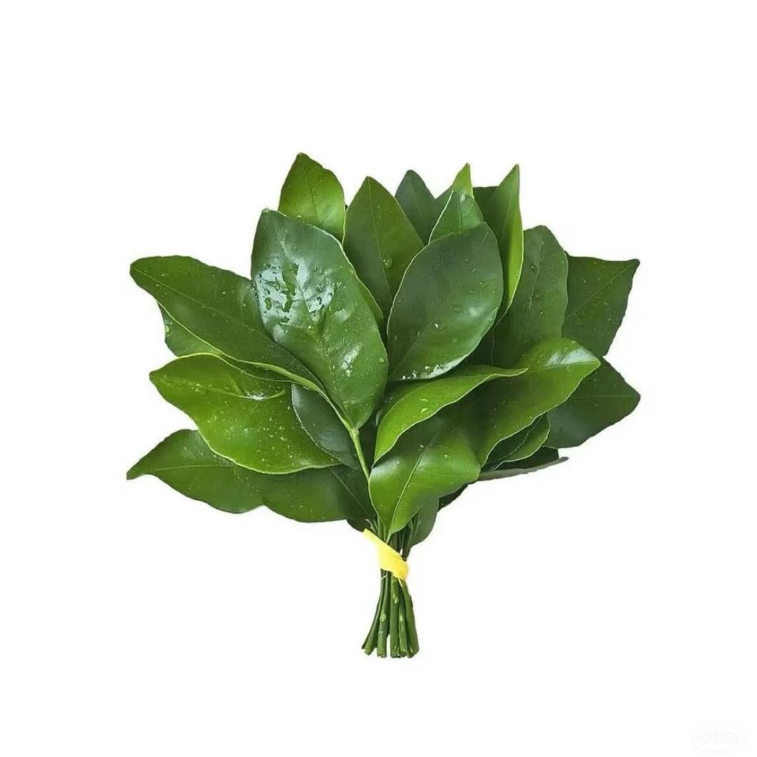 哈哈～