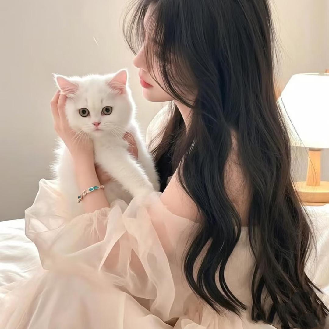 夜猫