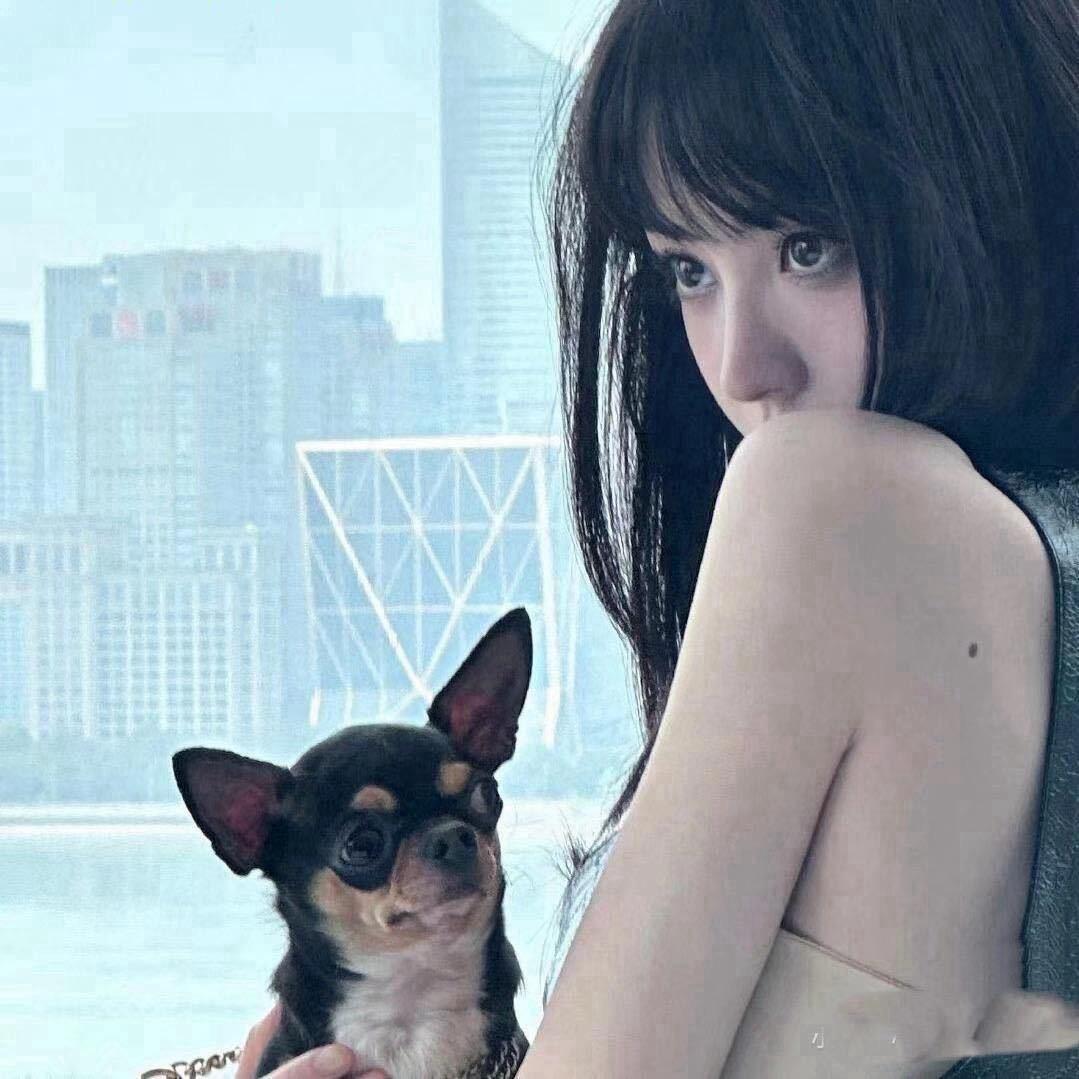 鹿森