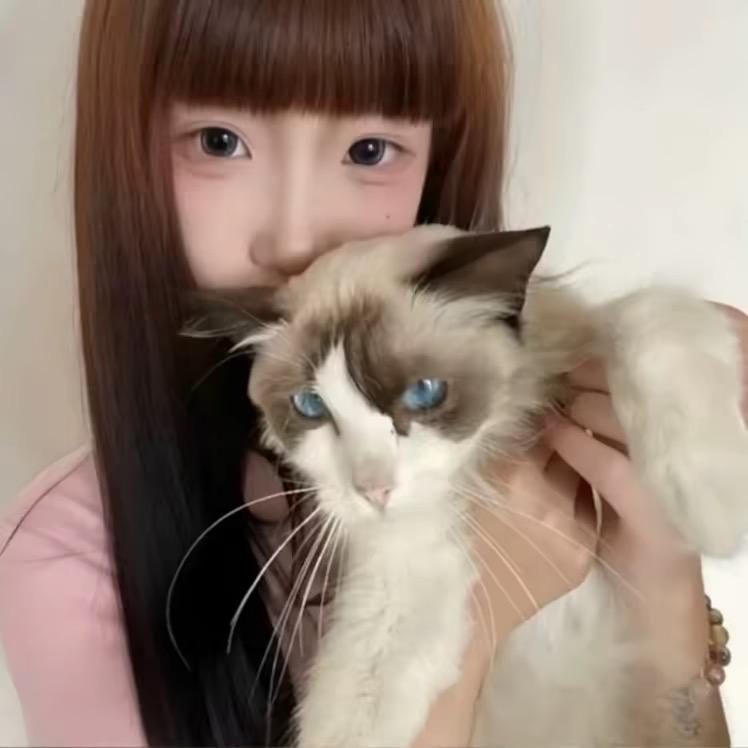 咕噜咕噜.ㅤ  ㅤ