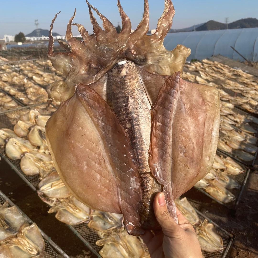 三色海海鲜干货