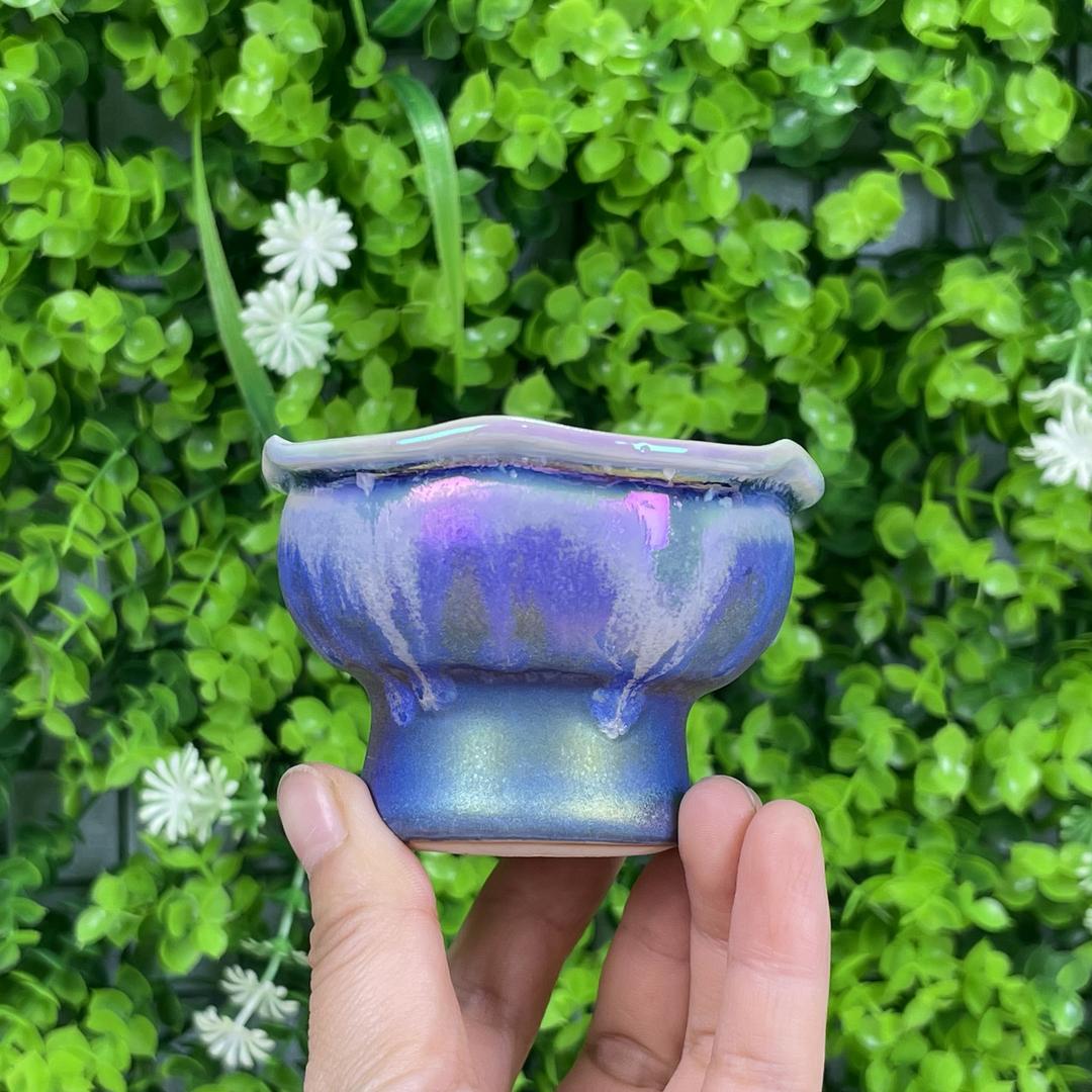 易置花盆