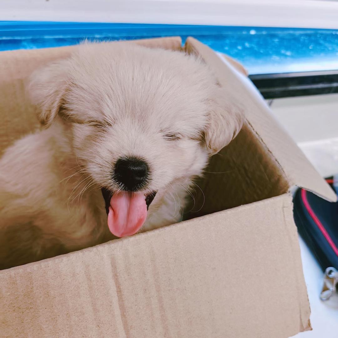 月浸沧澜秋