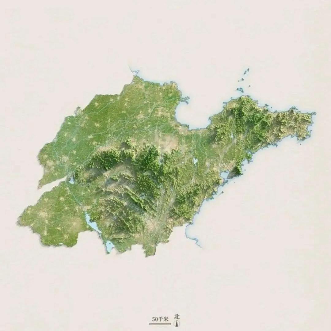 周茂山东高考