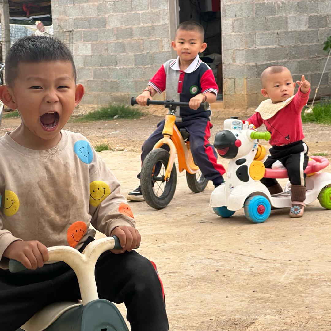 阿丽Ali加叁神兽