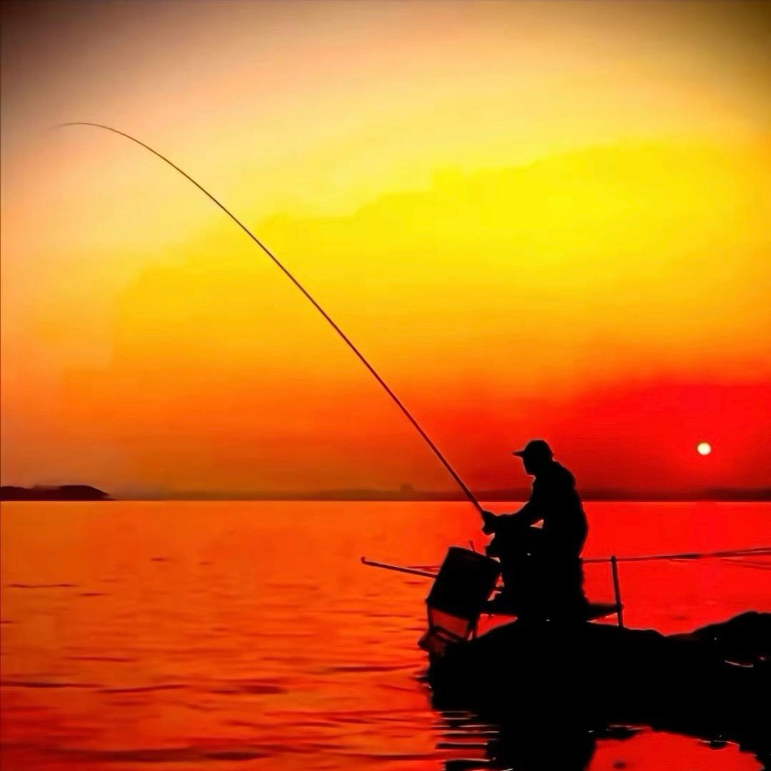 户外野钓—小李🎣