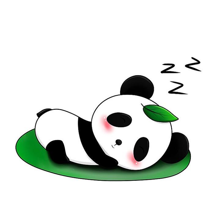 中国panda
