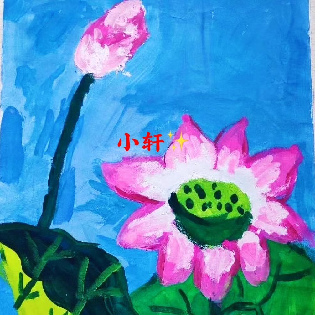小轩✨