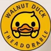 小黄鸭WALNUT DUCK童装工厂店2