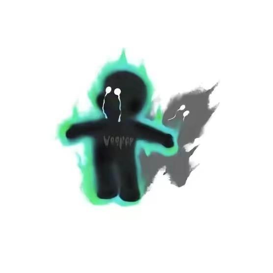 是帅不是师