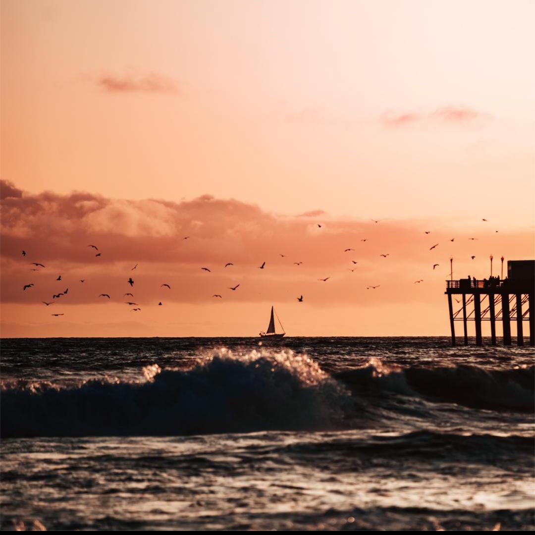 1小凤服装经营部